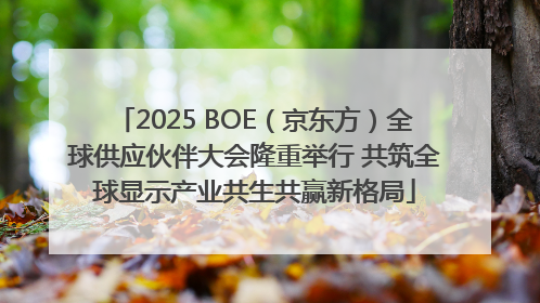 2025 BOE（京东方）全球供应伙伴大会隆重举行 共筑全球显示产业共生共赢新格局