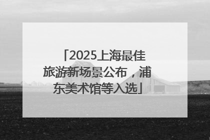2025上海最佳旅游新场景公布，浦东美术馆等入选