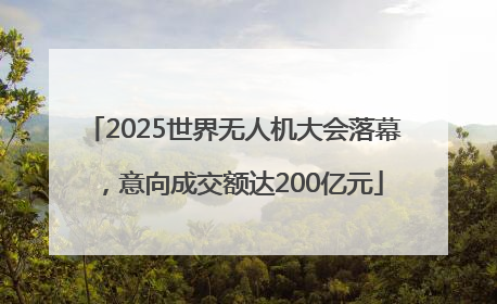 2025世界无人机大会落幕，意向成交额达200亿元