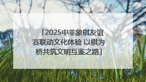 2025中非象棋友谊赛联动文化体验 以棋为桥共筑文明互鉴之路