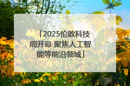 2025伦敦科技周开幕 聚焦人工智能等前沿领域