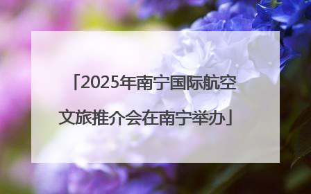 2025年南宁国际航空文旅推介会在南宁举办