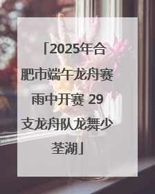 2025年合肥市端午龙舟赛雨中开赛 29支龙舟队龙舞少荃湖