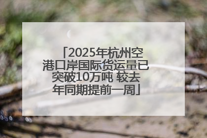 2025年杭州空港口岸国际货运量已突破10万吨 较去年同期提前一周