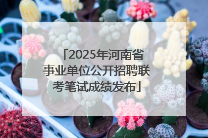2025年河南省事业单位公开招聘联考笔试成绩发布