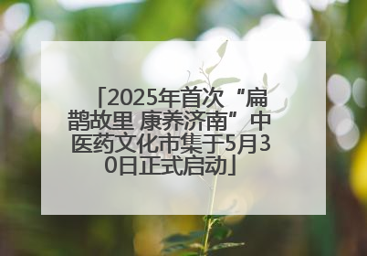 2025年首次“扁鹊故里 康养济南”中医药文化市集于5月30日正式启动