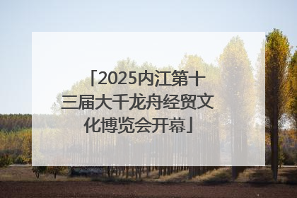 2025内江第十三届大千龙舟经贸文化博览会开幕