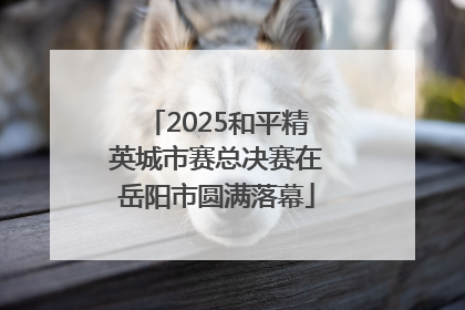 2025和平精英城市赛总决赛在岳阳市圆满落幕