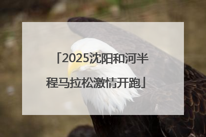 2025沈阳和河半程马拉松激情开跑