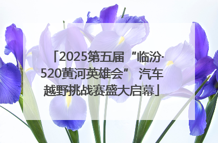 2025第五届“临汾·520黄河英雄会” 汽车越野挑战赛盛大启幕