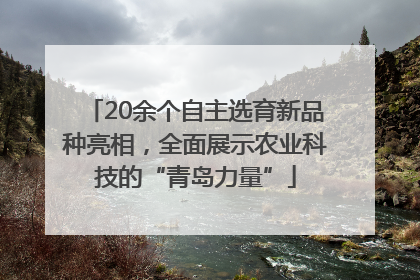 20余个自主选育新品种亮相，全面展示农业科技的“青岛力量”