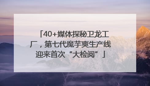 40+媒体探秘卫龙工厂，第七代魔芋爽生产线迎来首次“大检阅”