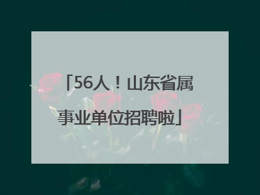 56人！山东省属事业单位招聘啦
