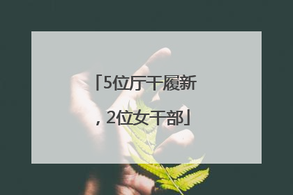5位厅干履新，2位女干部