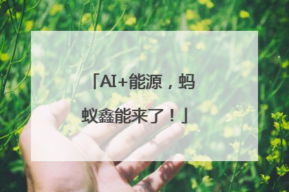 AI+能源，蚂蚁鑫能来了！