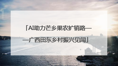 AI助力芒乡果农扩销路——广西田东乡村振兴见闻