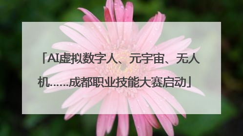 AI虚拟数字人、元宇宙、无人机……成都职业技能大赛启动