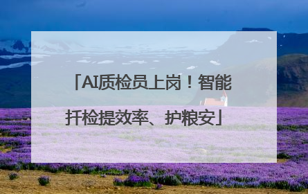 AI质检员上岗！智能扦检提效率、护粮安