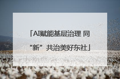 AI赋能基层治理 同“新”共治美好东社
