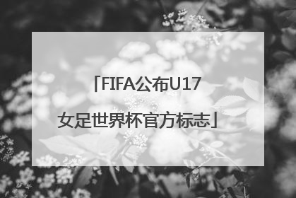 FIFA公布U17女足世界杯官方标志