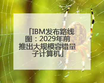 IBM发布路线图：2029年前推出大规模容错量子计算机