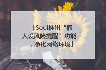 Soul推出“假人设风险提醒”功能，净化网络环境
