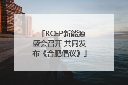 RCEP新能源盛会召开 共同发布《合肥倡议》